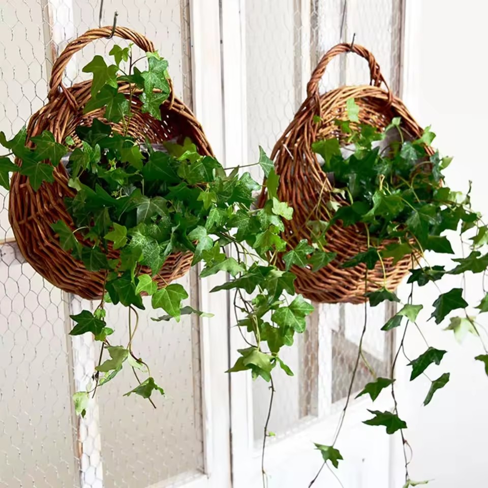 Plant Parent - Hand Made Wicker Rattan Flower Planter