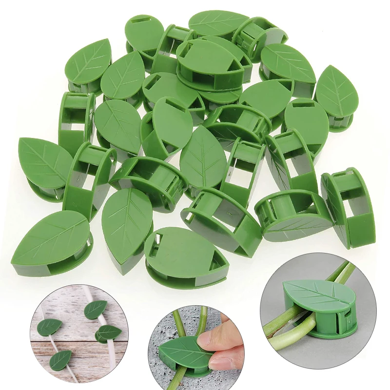 1-50Pcs invisible plant wall c - Plant Parent 评论和价格
