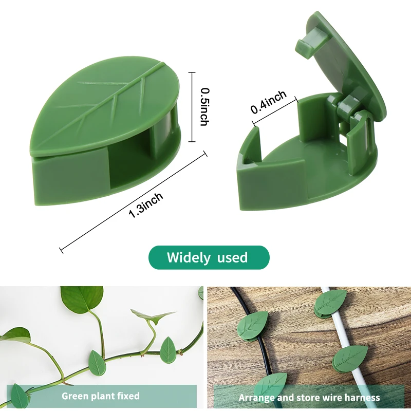 1-50Pcs invisible plant wall c - Plant Parent 评论和价格