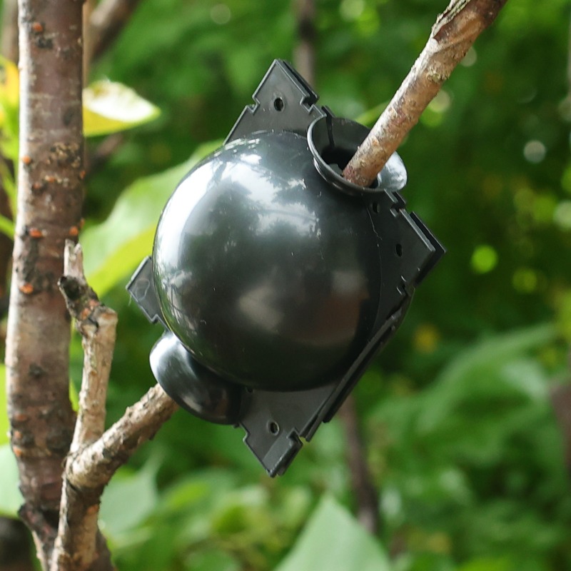 Reusable Plant Rooting Ball Gr - Plant Parent 评论和价格
