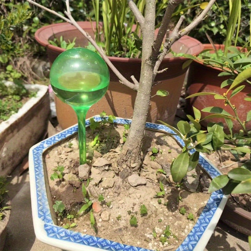 6PCS Indoor Plants Self Wateri - Plant Parent 评论和价格
