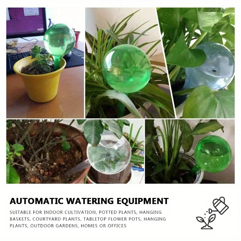 6PCS Indoor Plants Self Wateri - Plant Parent 评论和价格