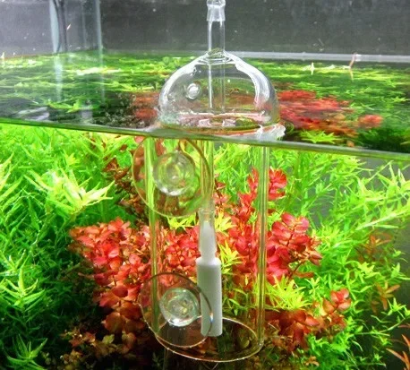 VIV Do Device Aquarium Cylinde - Plant Parent 评论和价格