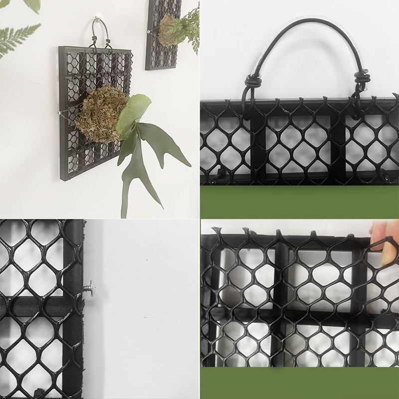 Breathable Plastic Grid Stagho - Plant Parent 评论和价格