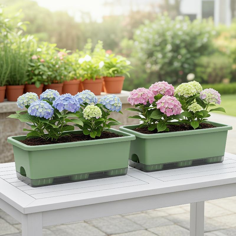 Rectangular Self Watering Plan - Plant Parent 评论和价格