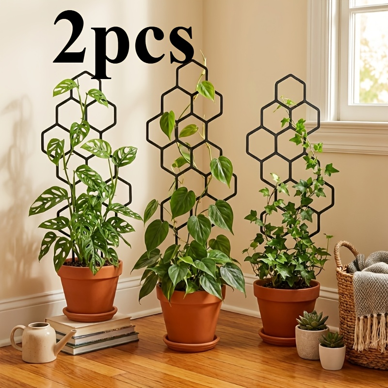 Two Climbing Plant Training De - Plant Parent 评论和价格