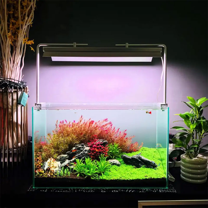 WEEK AQUA L Series, Aquarium L - Plant Parent App 评论和价格