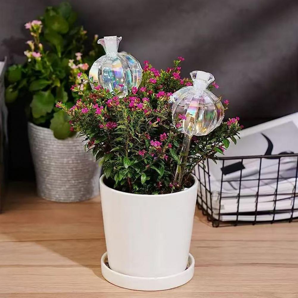 24cm Cactus Self Watering Bulb - Plant Parent 评论和价格