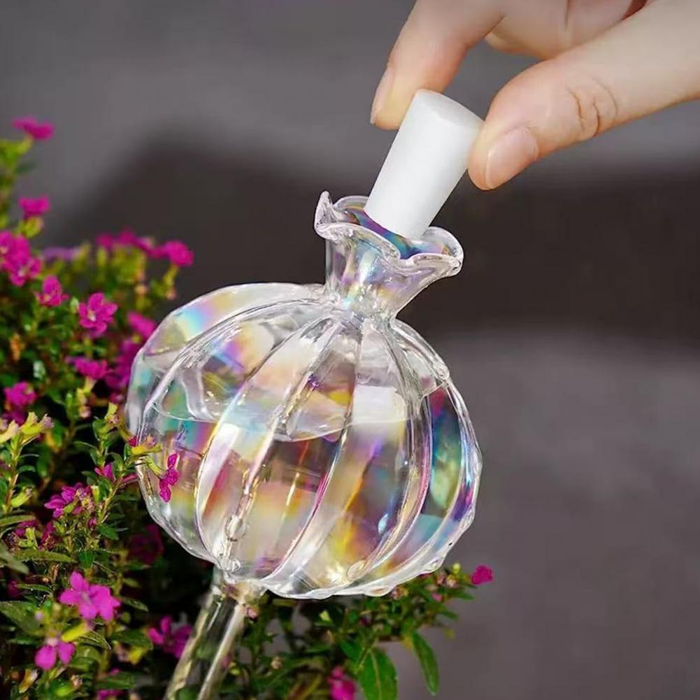24cm Cactus Self Watering Bulb - Plant Parent 评论和价格