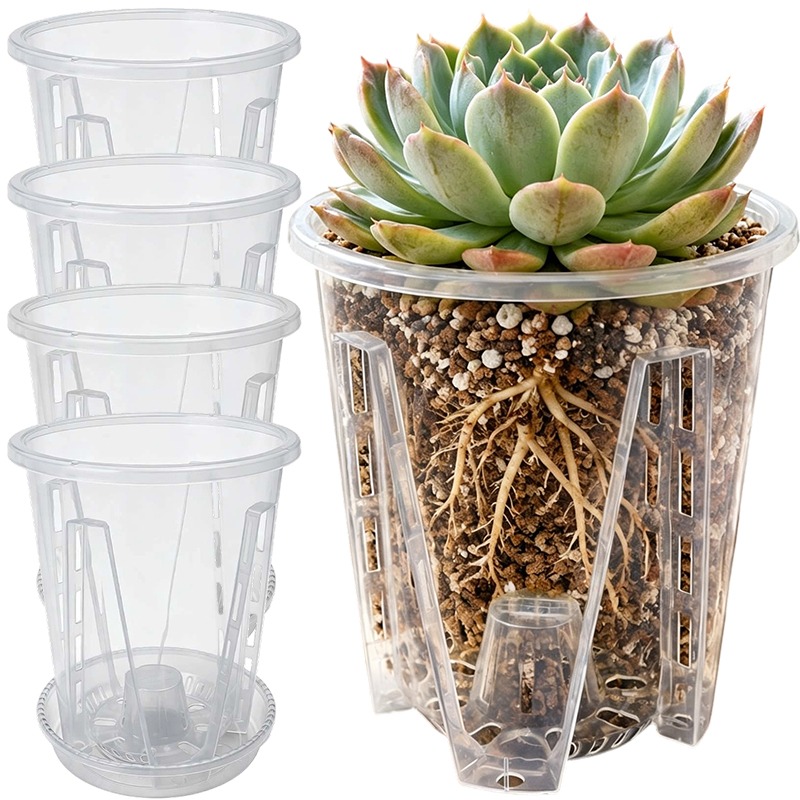 Transparent Flower Pot with Tr - Plant Parent 评论和价格