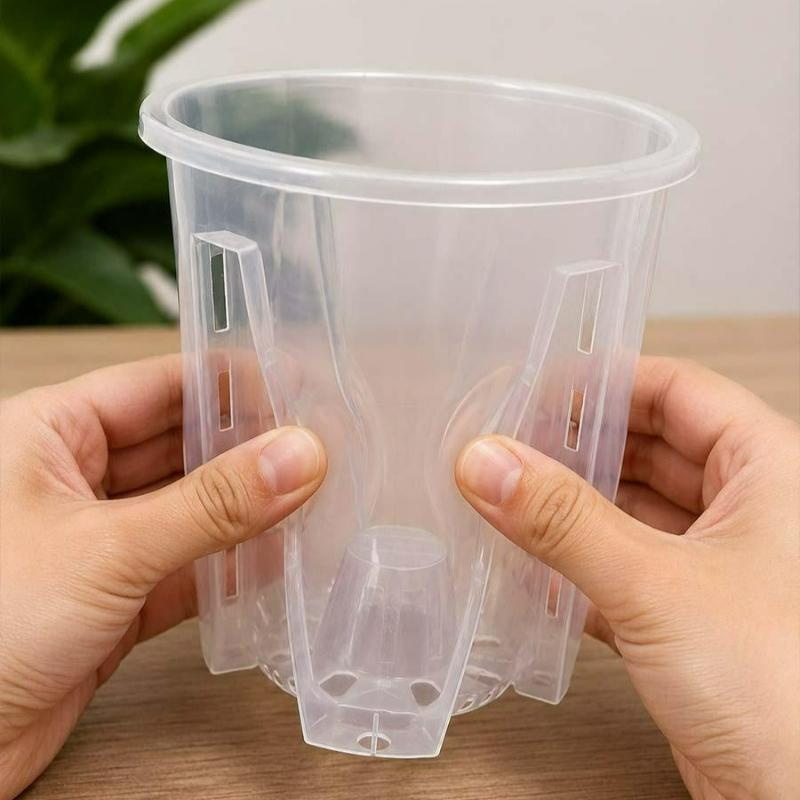 Transparent Flower Pot with Tr - Plant Parent 评论和价格