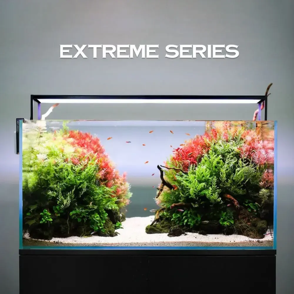 MICMOL Extreme Series II Smart - Plant Parent App 评论和价格
