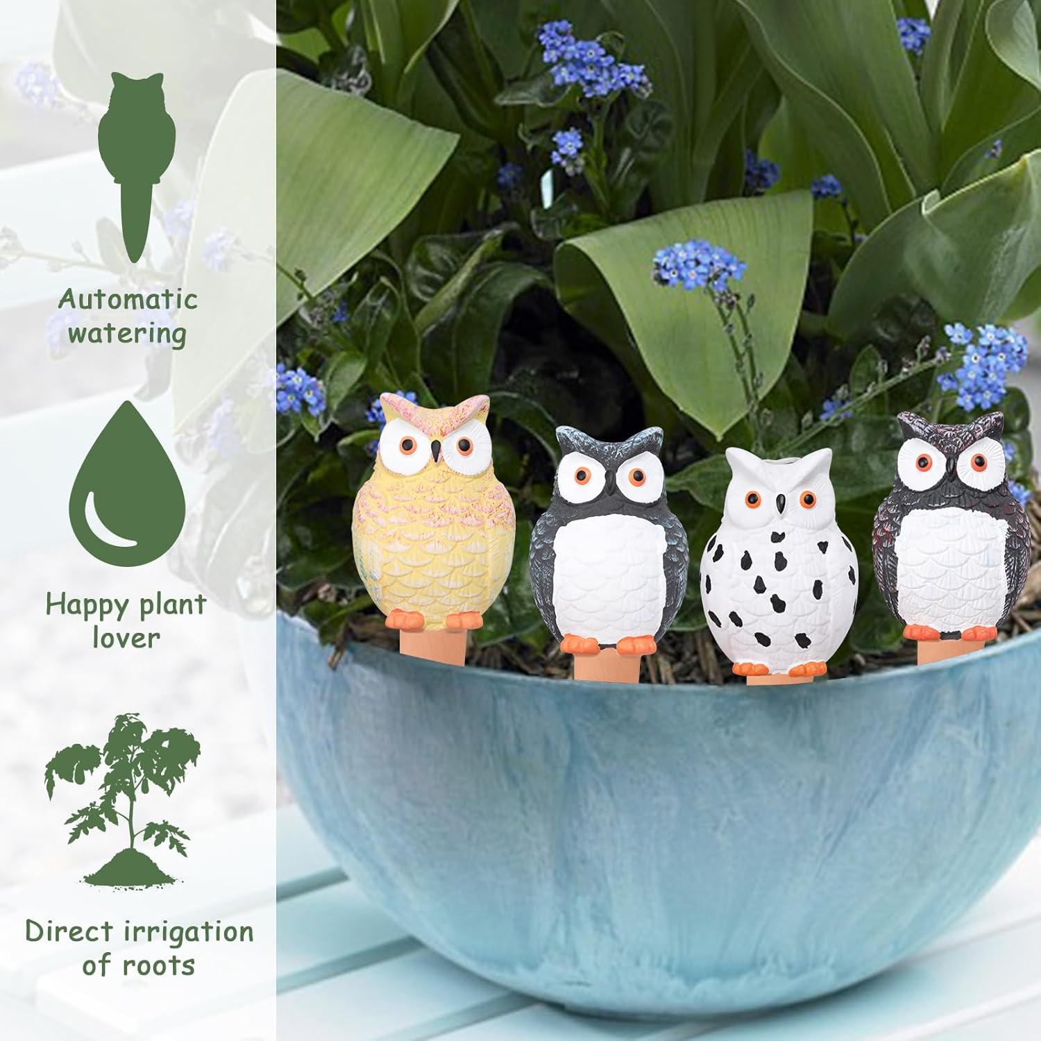 Self Plant Watering Globes Ter - Plant Parent 评论和价格