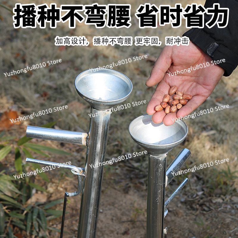 Agricultural Corn Peanut Seed  - Plant Parent 评论和价格