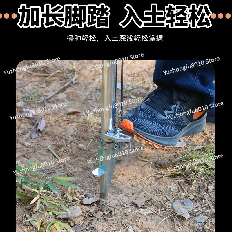 Agricultural Corn Peanut Seed  - Plant Parent 评论和价格